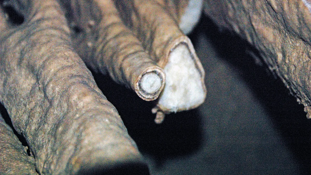 Caving guide